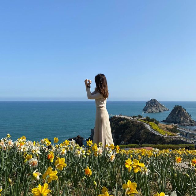 오륙도에는 벌써 봄이왔어요〰️💛