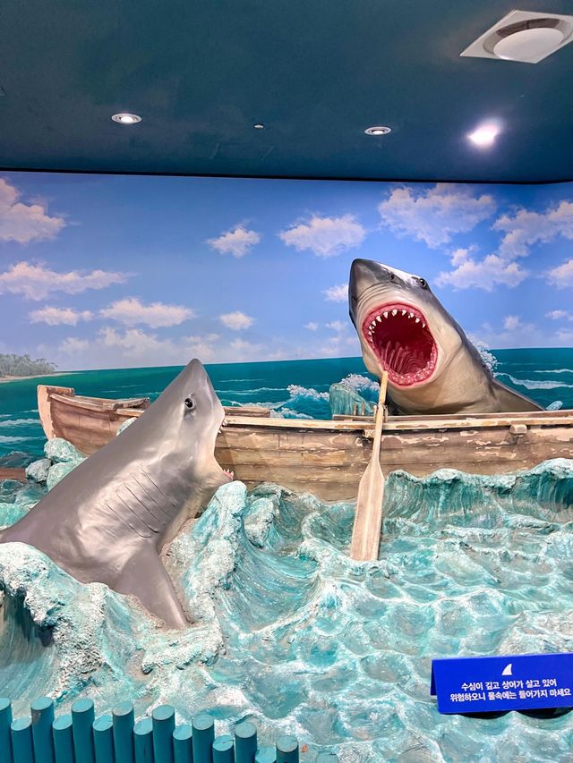 알록달록한 물고기들이 있는 제주아쿠아리움🐠