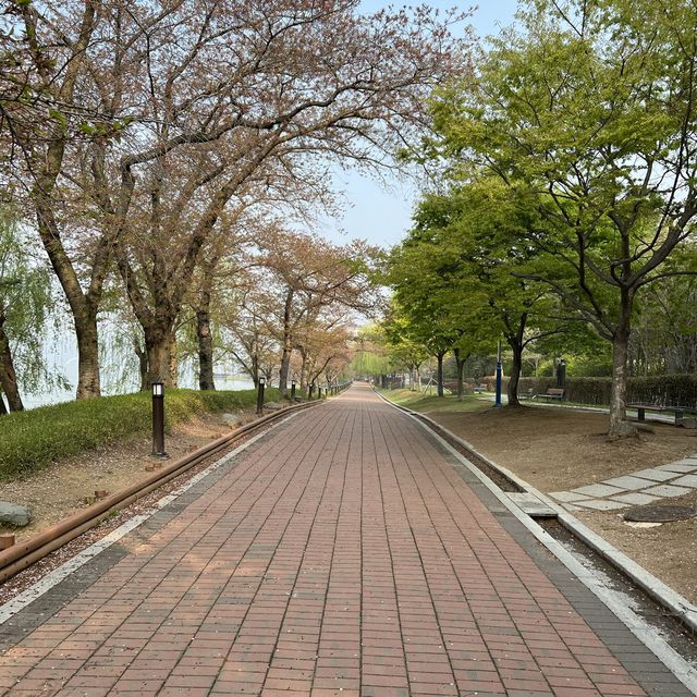 慶州景點-普門湖風景區