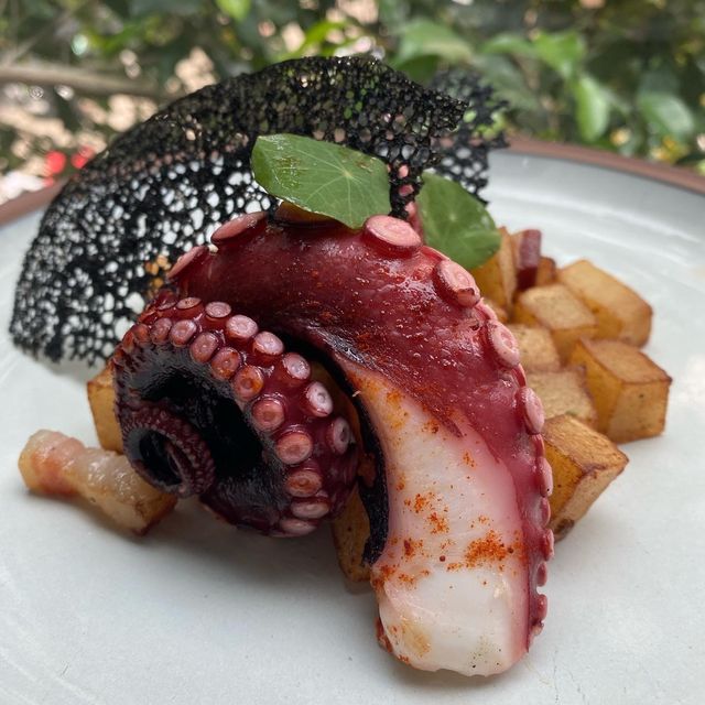 藝術感滿滿的美麗午餐 有顏有味道