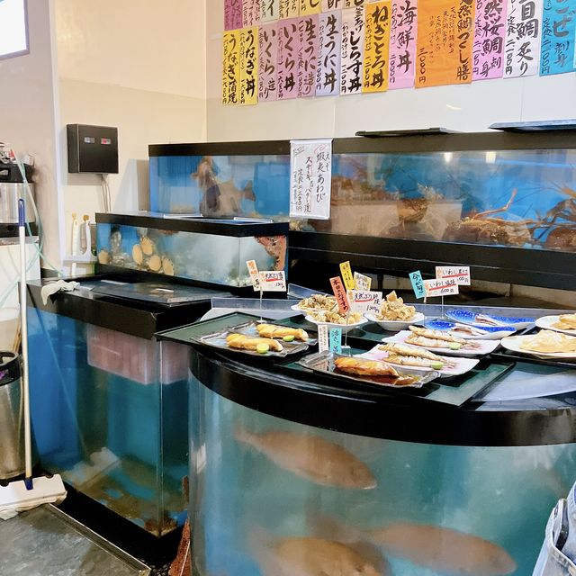【徳島】渦潮に揉まれた新鮮鮮魚🐟