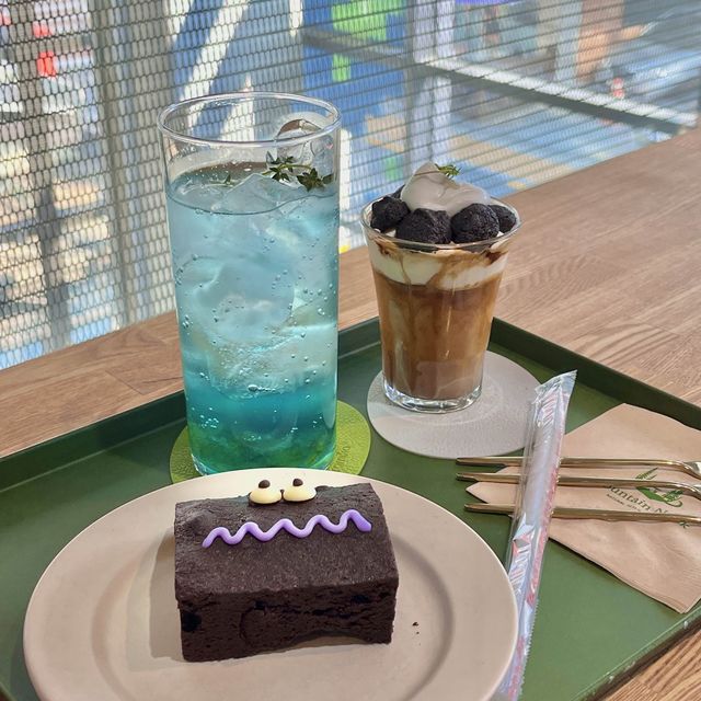 도심속 감성카페, ‘마운틴누크’ 송리단길점🌱