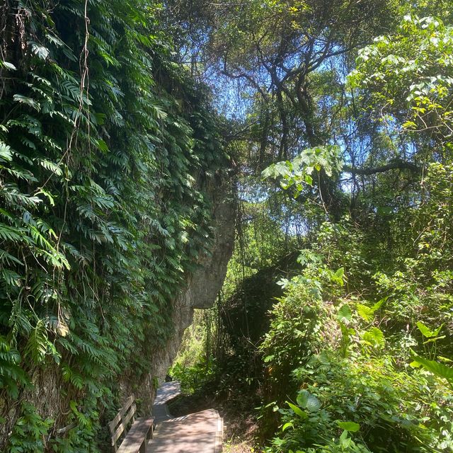 ✨山豬溝生態步道✨