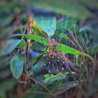 "Ancient Footsteps: "Along the Wuyue Trail"