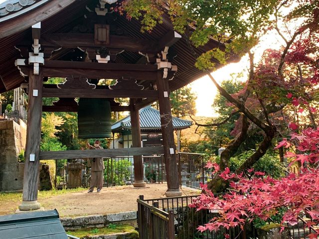 เที่ยวใบไม้เปลี่ยนสี เกียวโต วัดเอกันโดเซ็นริน ⛩️🍁
