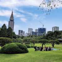 【東京観光】東京の癒しスポット🌳