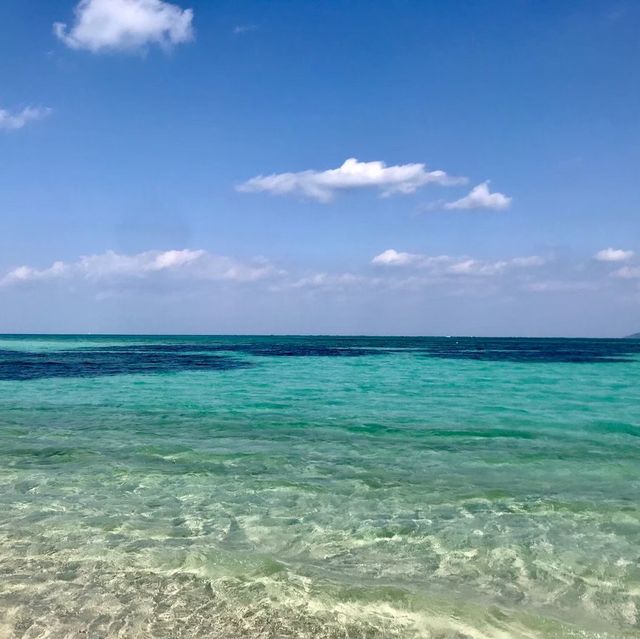 【沖縄 竹富島】一度は行っておきたい竹富島