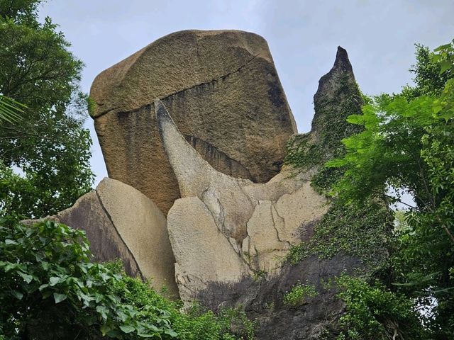 土瓜灣海旁的海心公園