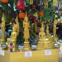 วัดท่าการ้อง