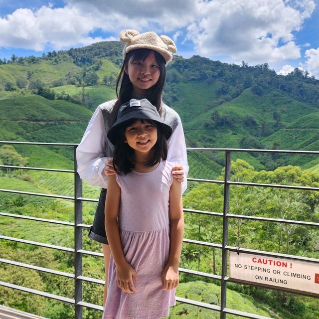 Sightseeing at Cameron Highland Boh Tea Plantation 