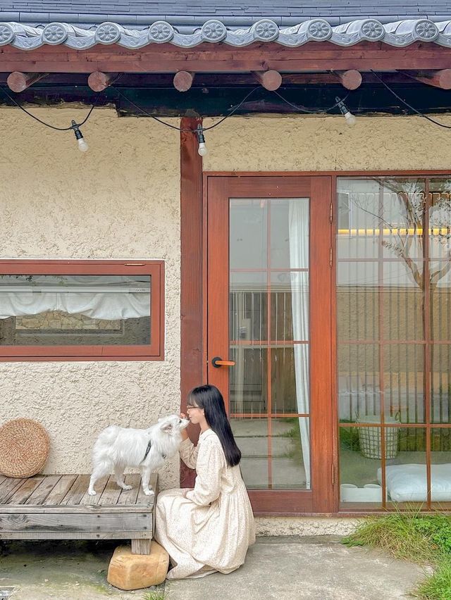 메이와 함께 감성 속으로 풍덩, 오늘의 우리 집🏡