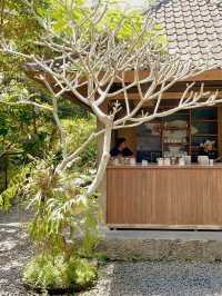 【バリ島】世界一高級なコーヒーが飲める農園に行ってきた