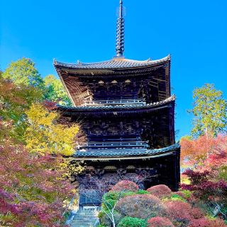 Joraku-ji: Zen Oasis Unveiled