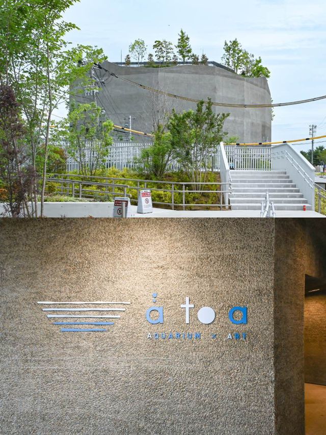 【神戸】絶対行きたい！アート×アクアリウムの美しすぎる水族館🐟