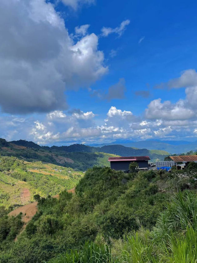 🇲🇾Sabah. kundasang|Anooh cafe☕️