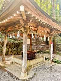 【長瀞】ミシュランガイドで一つ星を獲得した宝登山神社
