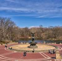 Connect with Nature - Central Park 🏞️