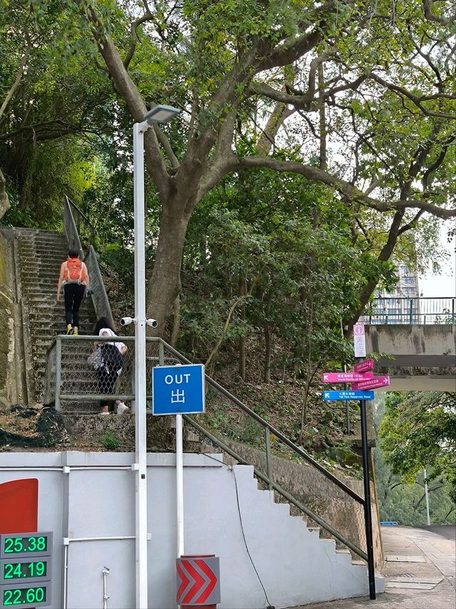 一條既輕鬆又CP值高之行山徑,你總等？