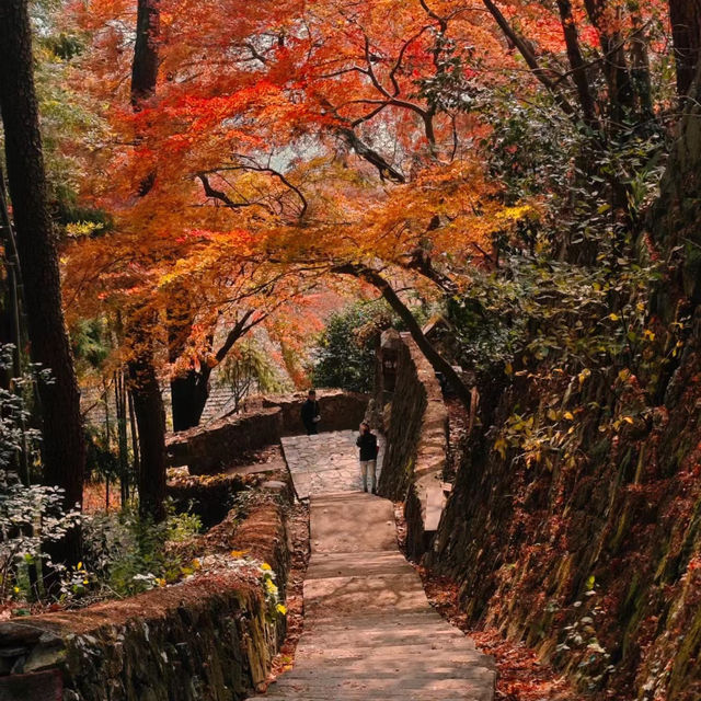 關山風景區 🏞️🌊自然寶藏🌅🌴