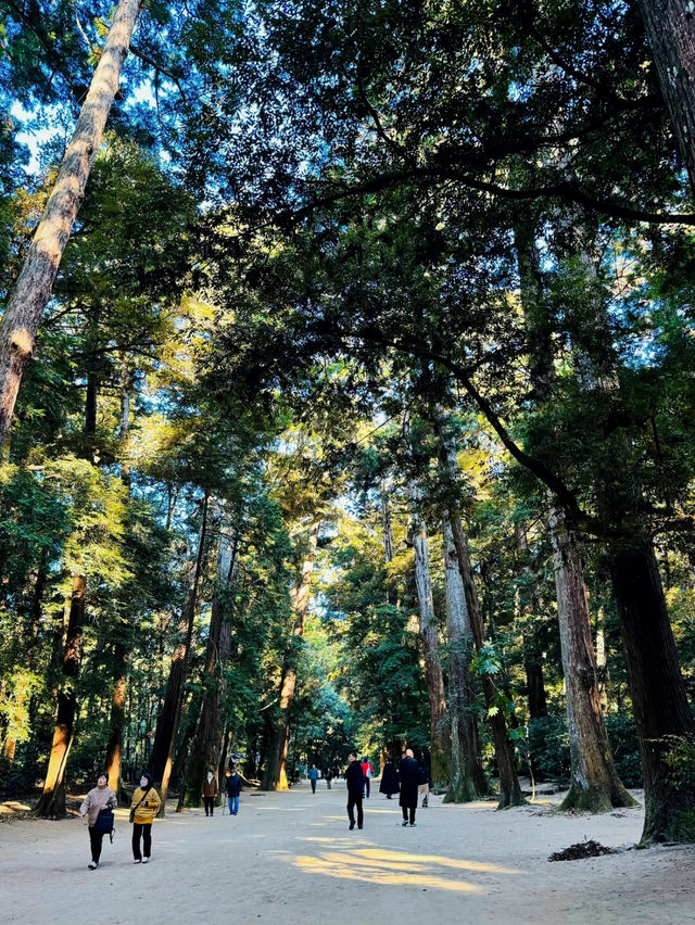 【絶景】神秘的な美しさのパワースポット⛩