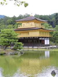 เที่ยววัดทองแห่งเกียวโต Kinkakuji Temple