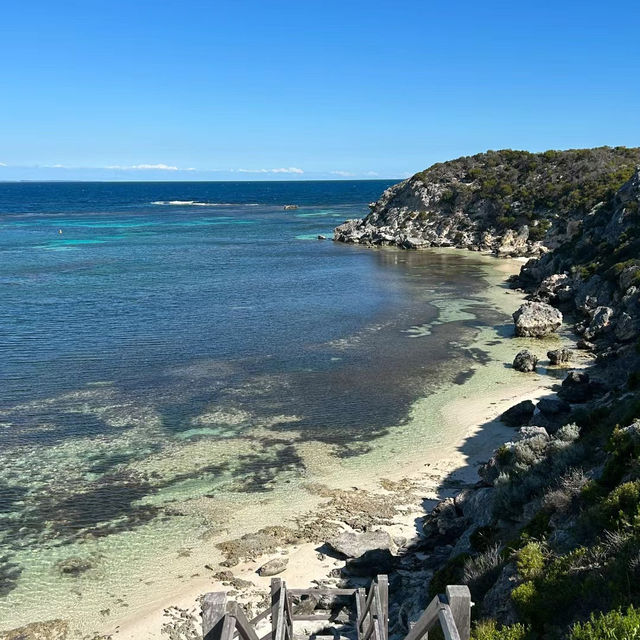 國府津海岸 🌊🏖️海灘度假的理想選擇 🌅🌴