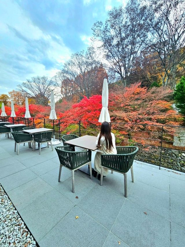 【京都/ラグジュアリーホテル】1度泊まってみたい❗超〞贅沢💎宿泊しなくても訪れる裏ワザ㊙️😳