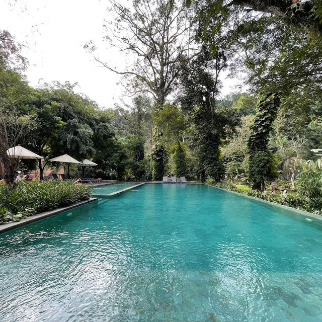 Amazing experience @ Flora Creek, Chiang Mai 