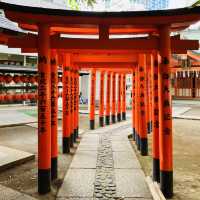 鳥居が鮮やか - 豊栄稲荷神社 -