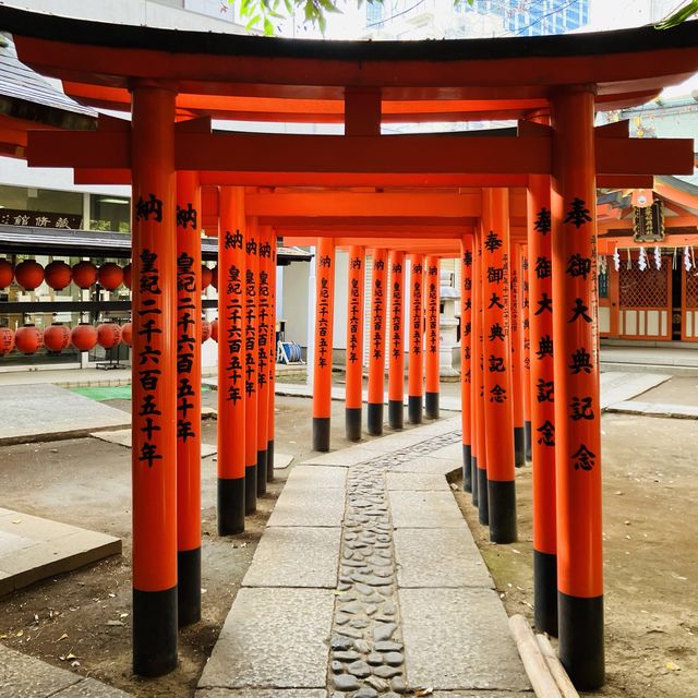 鳥居が鮮やか - 豊栄稲荷神社 -