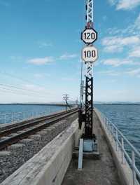 📌รถไฟลอยน้ำ เขื่อนป่าสักชลสิทธิ์
