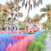 Memory House Cafe ทุ่งหญ้าหลากสี