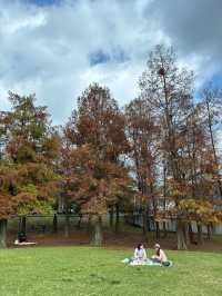 เดินรับไอแดด และชมใบไม้เปลี่ยนสีที่ Dahu Park