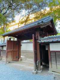 【東京都/錦春稲荷神社】小石川後楽園内にある神社