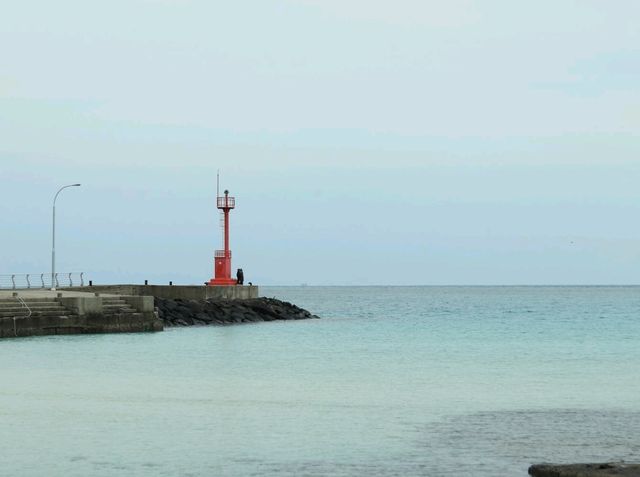 제주도 떠나고 싶게 만드는 제주 겨울 바다 