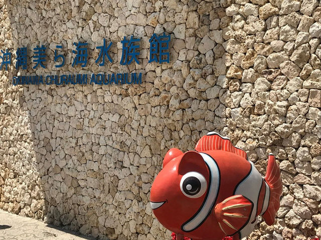 Okinawa Churaimi Aquarium