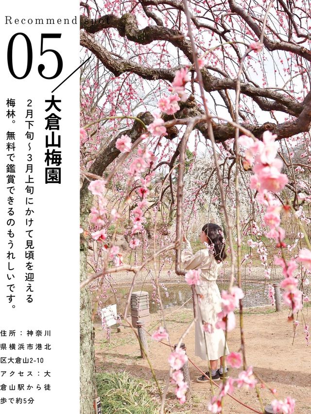 2月のお出かけにおすすめ 全国おすすめ梅スポット5選