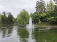 Chidorigaike Pond 
