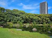 Quiet and peaceful well maintained Garden