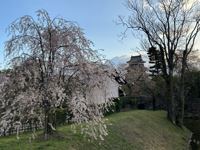 長野・松本。国宝『松本城』   