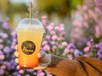  Hana Cafe ฮานะคาเฟ่  บุรีรัมย์