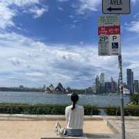 시드니 여행 2일차🐨 밀슨스 포인트/오페라하우스/판도라/본다이비치/아이스버그 수영장