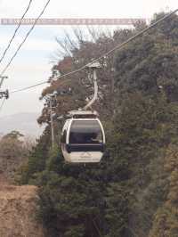【静岡県/伊豆の国】ここ行かなきゃ損！穴場すぎる天空のお花見スポット