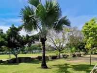Pattaya City Park