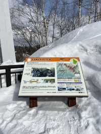 Have you seen a frozen waterfall? 