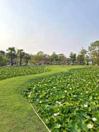 Kratom Intha