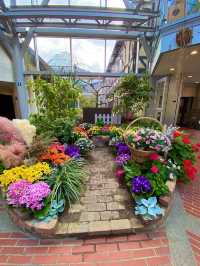 美しすぎる花の空間！神戸布引ハーブ園絶対外せないグラスハウス