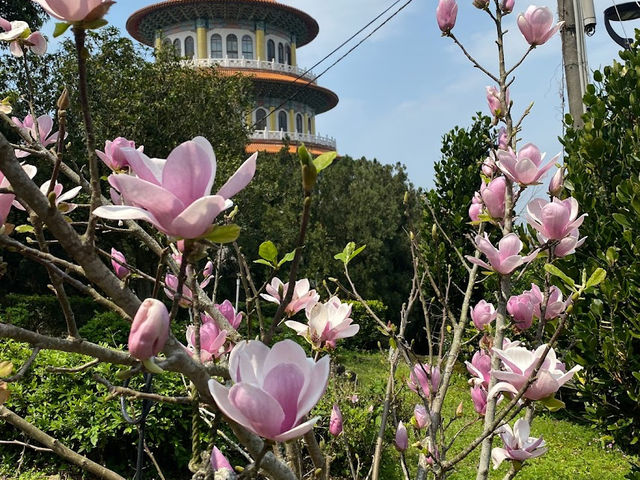 📍 Wuji Tianyuan Temple  🌸
