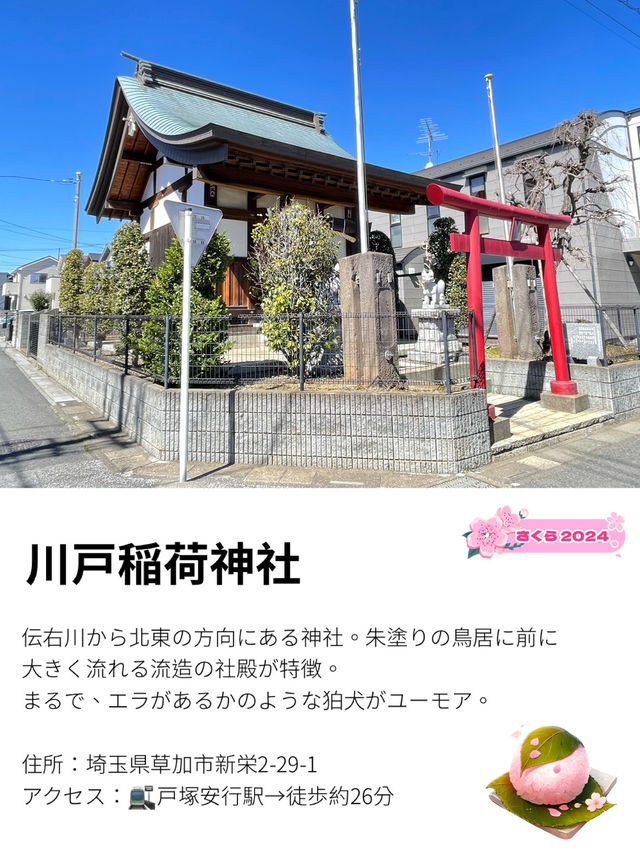 【川戸稲荷神社/埼玉県】宗忠鳥居と流造の社殿
