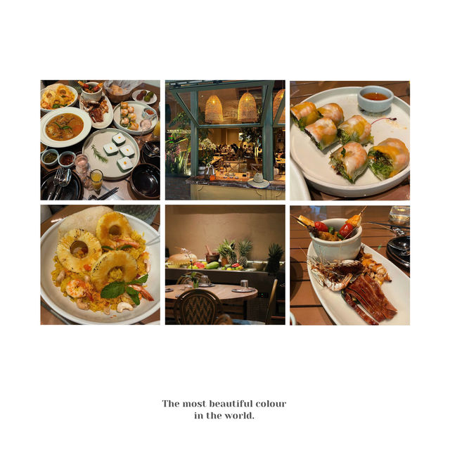 「Paii泰式餐廳：道地泰式風味」